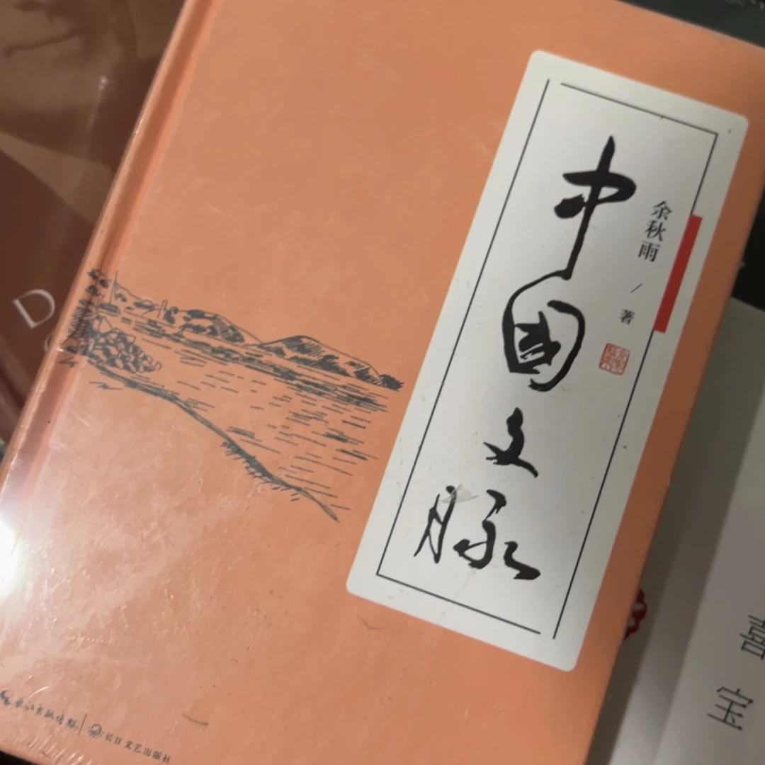 中国文脉九米一个