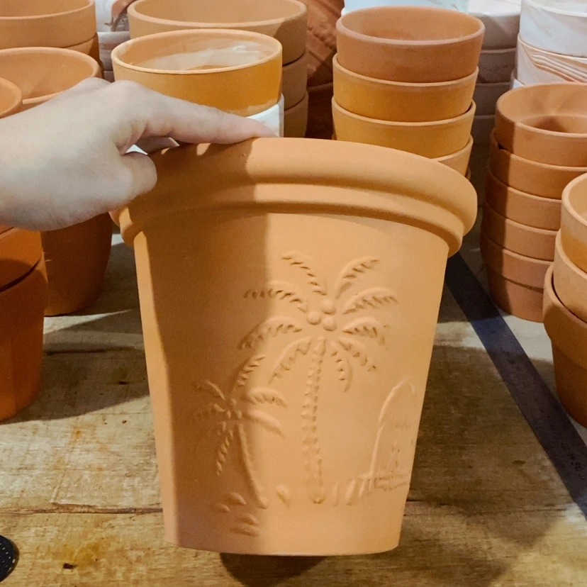 【闪购商品】椰树20×19-1