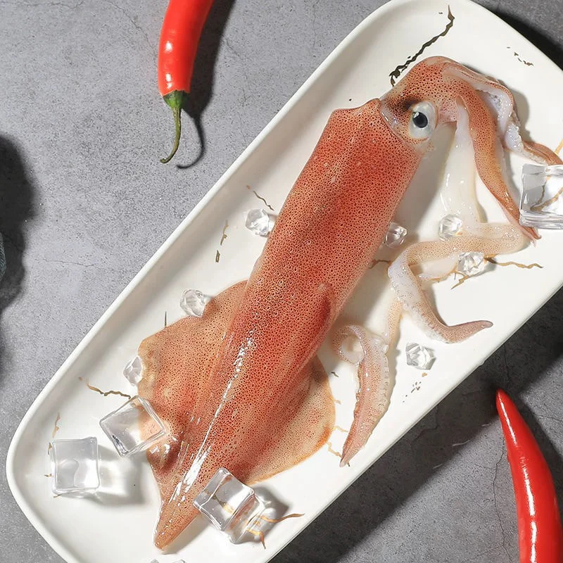 【直播现称】东山岛手钓鱿鱼脆皮管顺丰新鲜发货