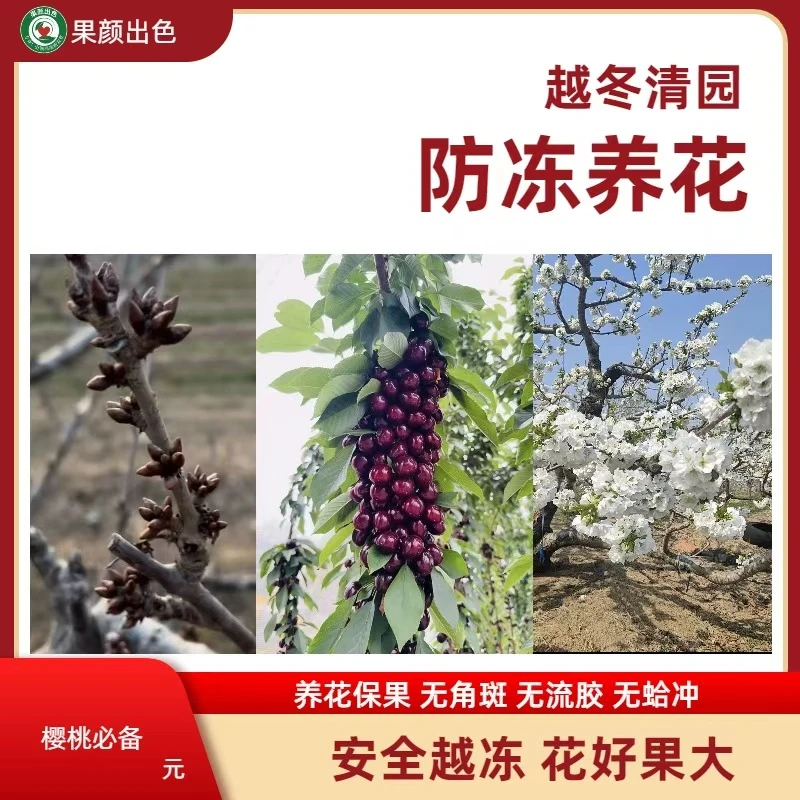 林静 越冬清园 花好果大 防冻营养全 开花齐