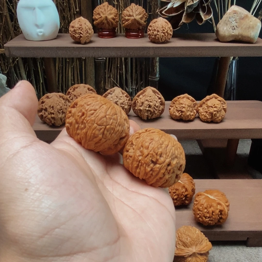 核桃手串/手链40全品泥鳅背