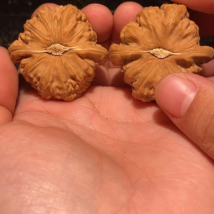 空***雨手串/手链核桃38 白狮子