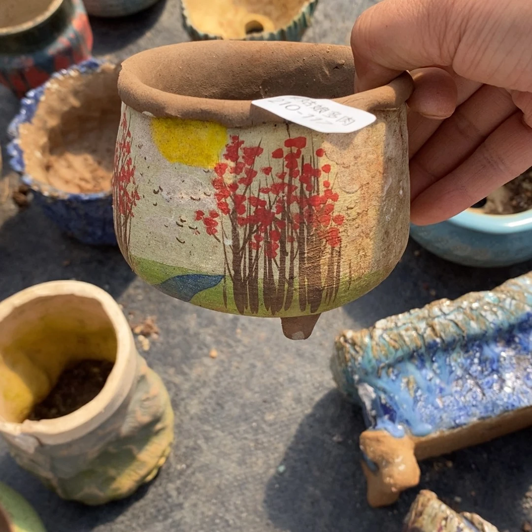 红陶彧*117号多肉盆一个呀