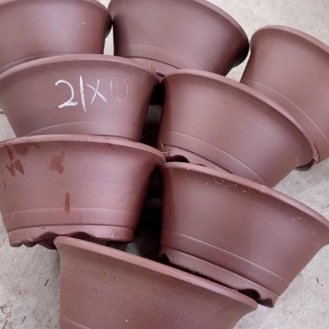 100-8。           21-10