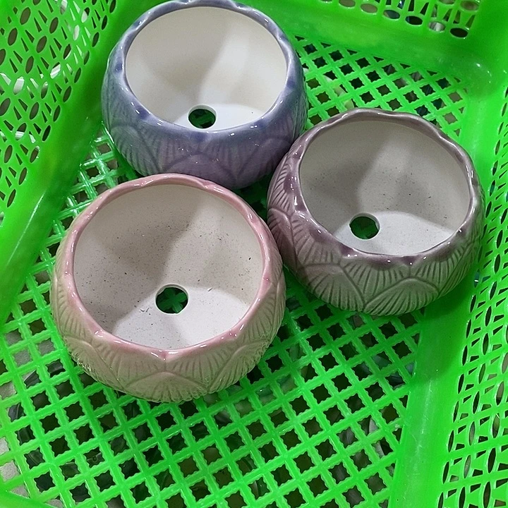 花盆抢购清货马上开始