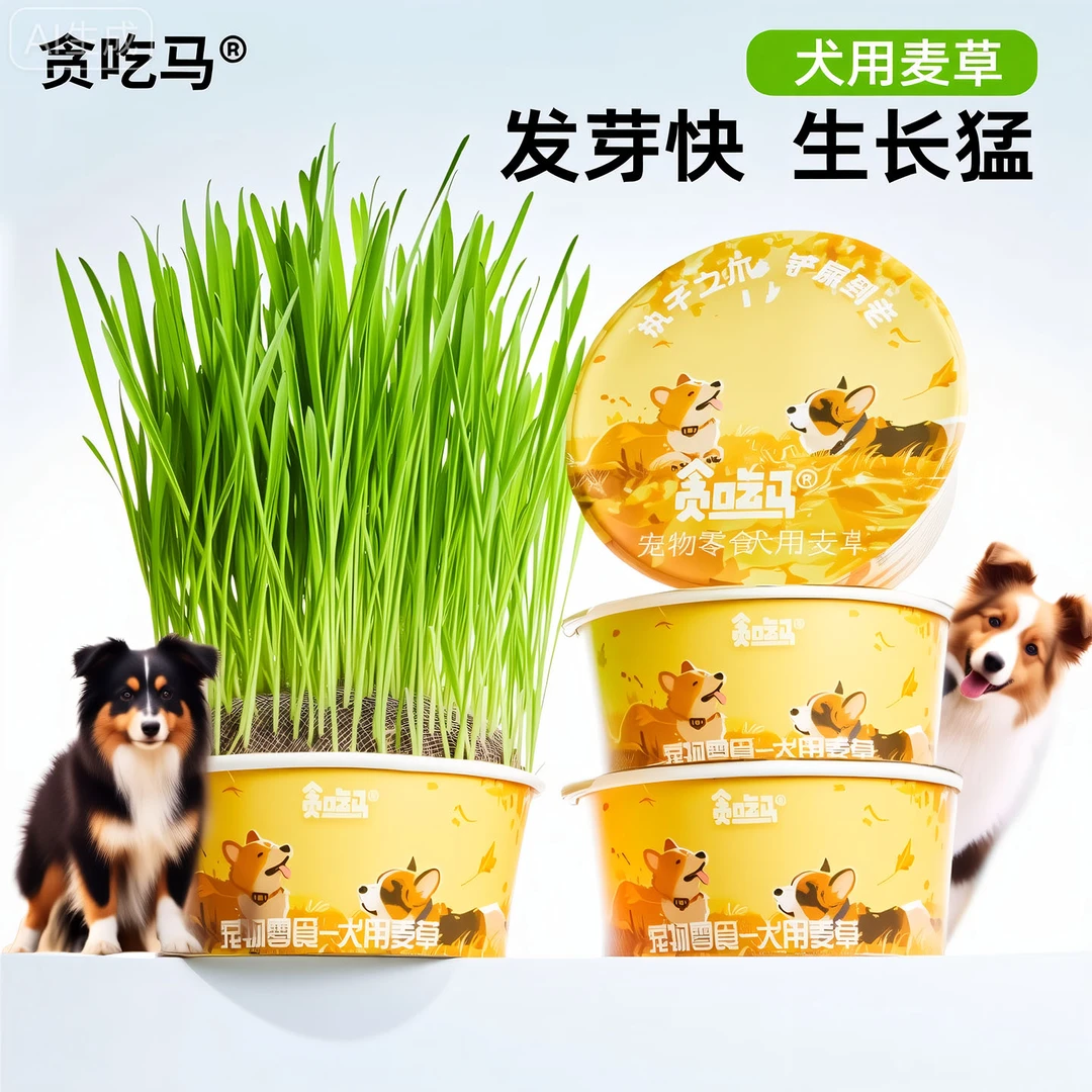 宠物狗狗犬用麦草狗狗零食狗狗用品懒人无土狗草