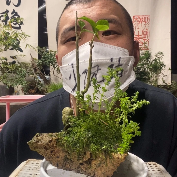 安***狐无花朵退款拉黑拉黑87