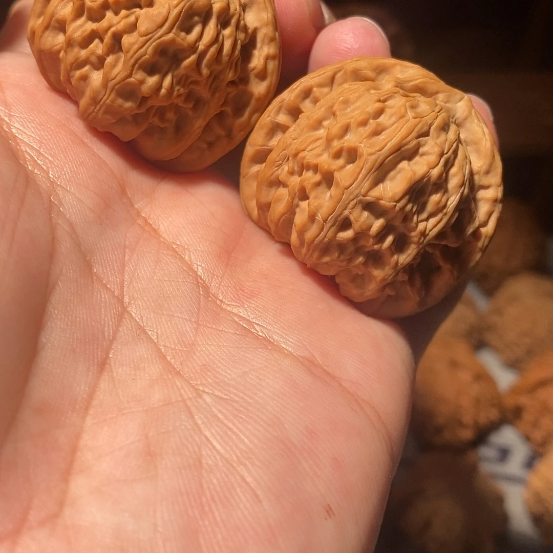 文玩核桃把件001白狮子38尺全品头货对