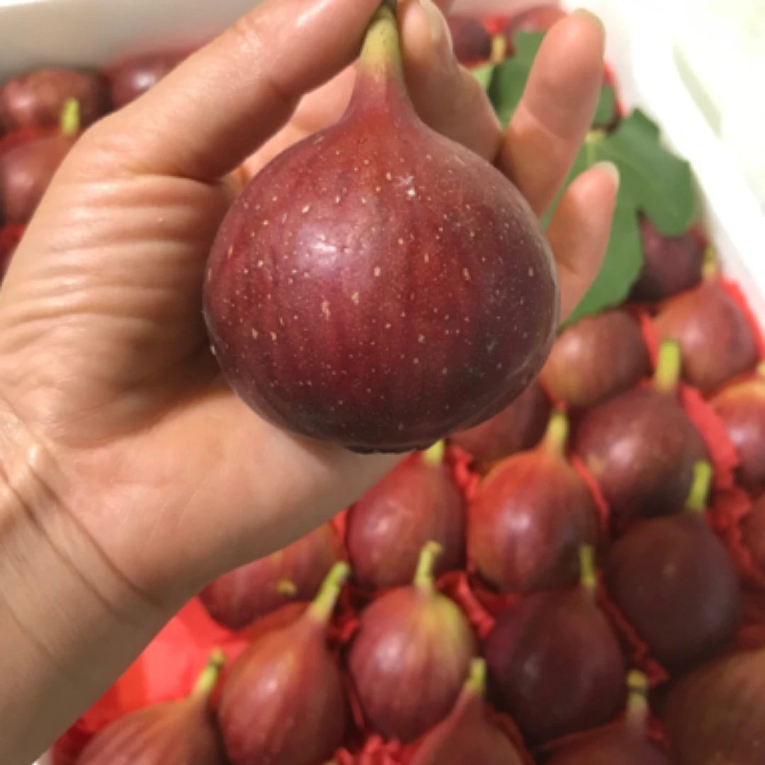 无花果500g/份