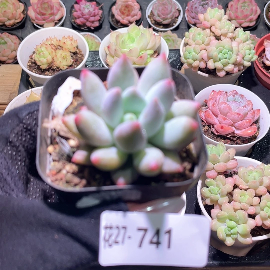 花利美27-741奶瓶