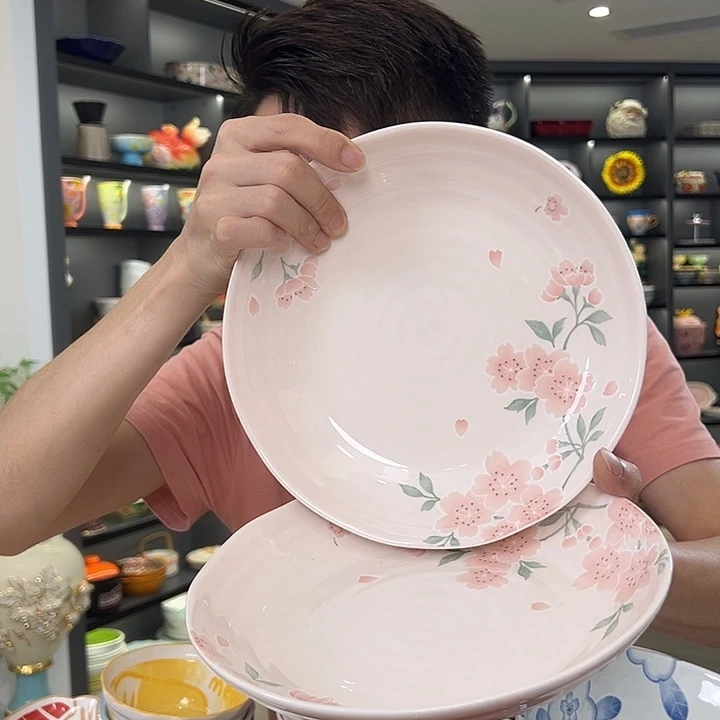 潮州工厂陶瓷餐具9寸