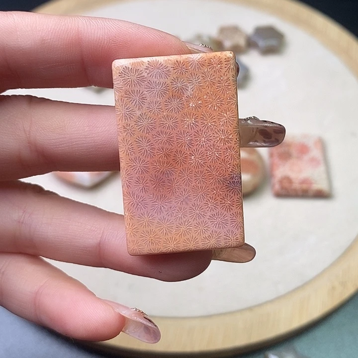 硅化珊瑚（珊瑚玉）未镶嵌颈饰