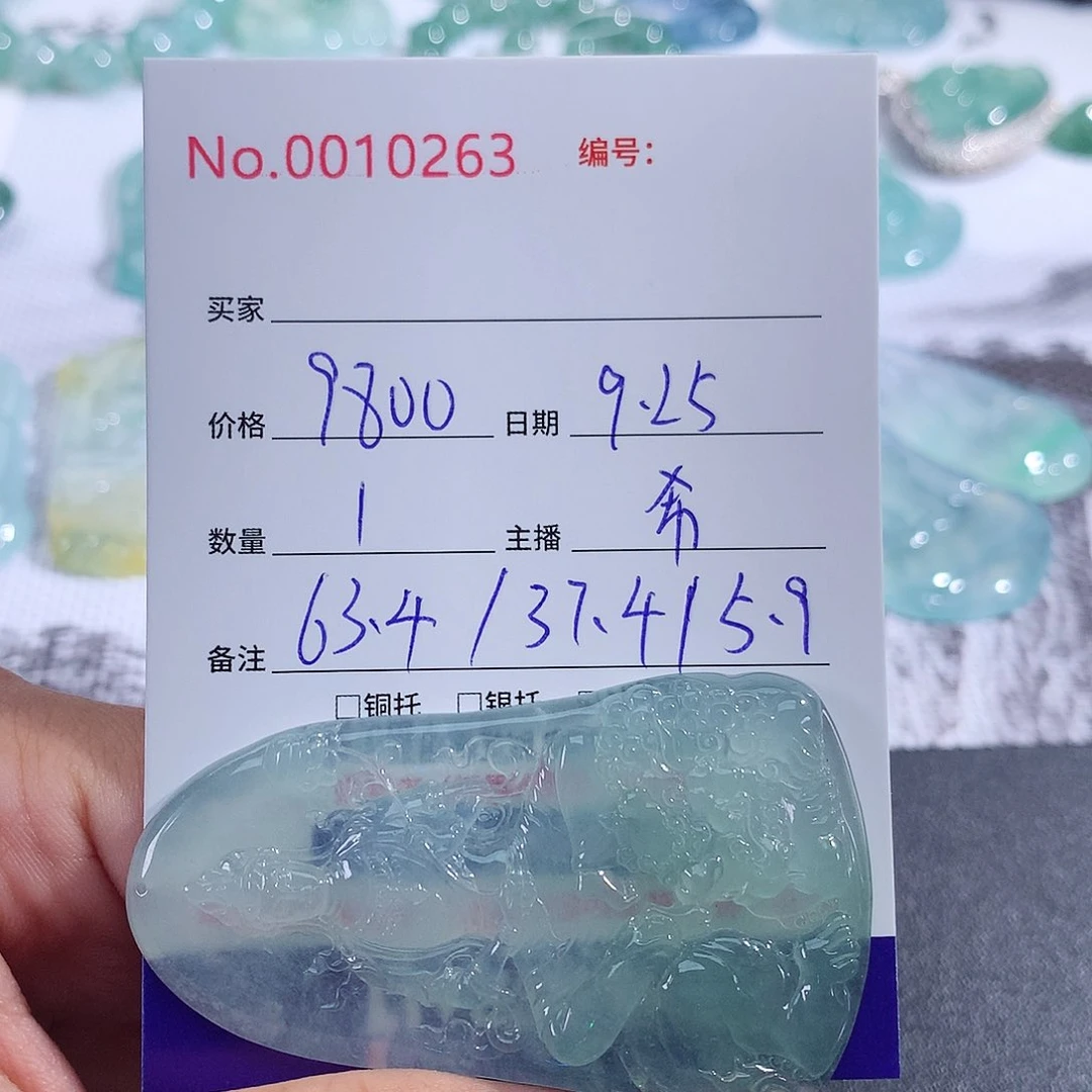 【闪购商品】颈饰未镶嵌翡翠