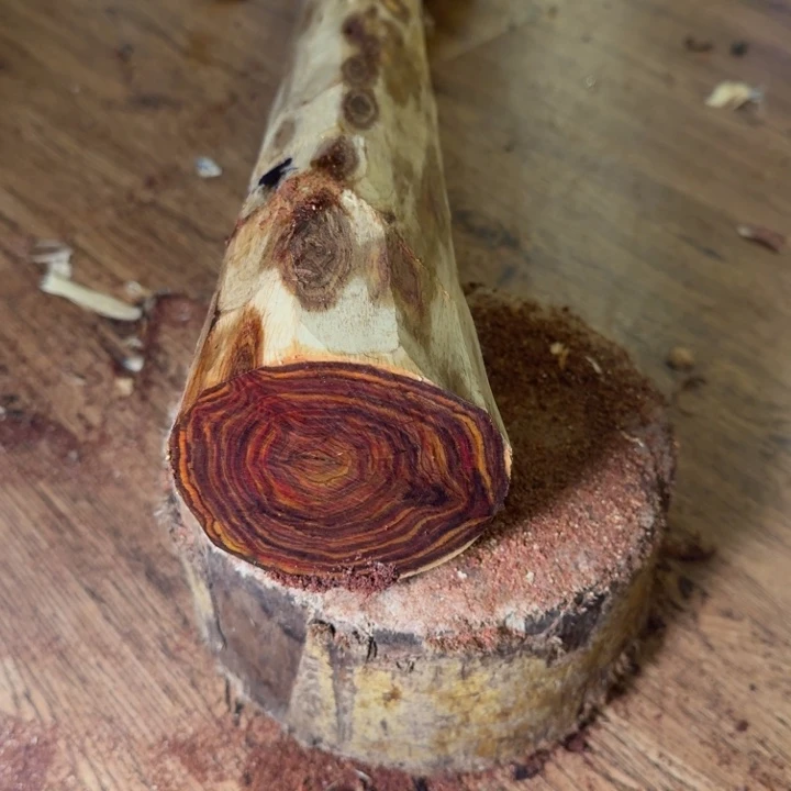 用***8木海南，海北飞灰尘。甘受商于仪诳楚