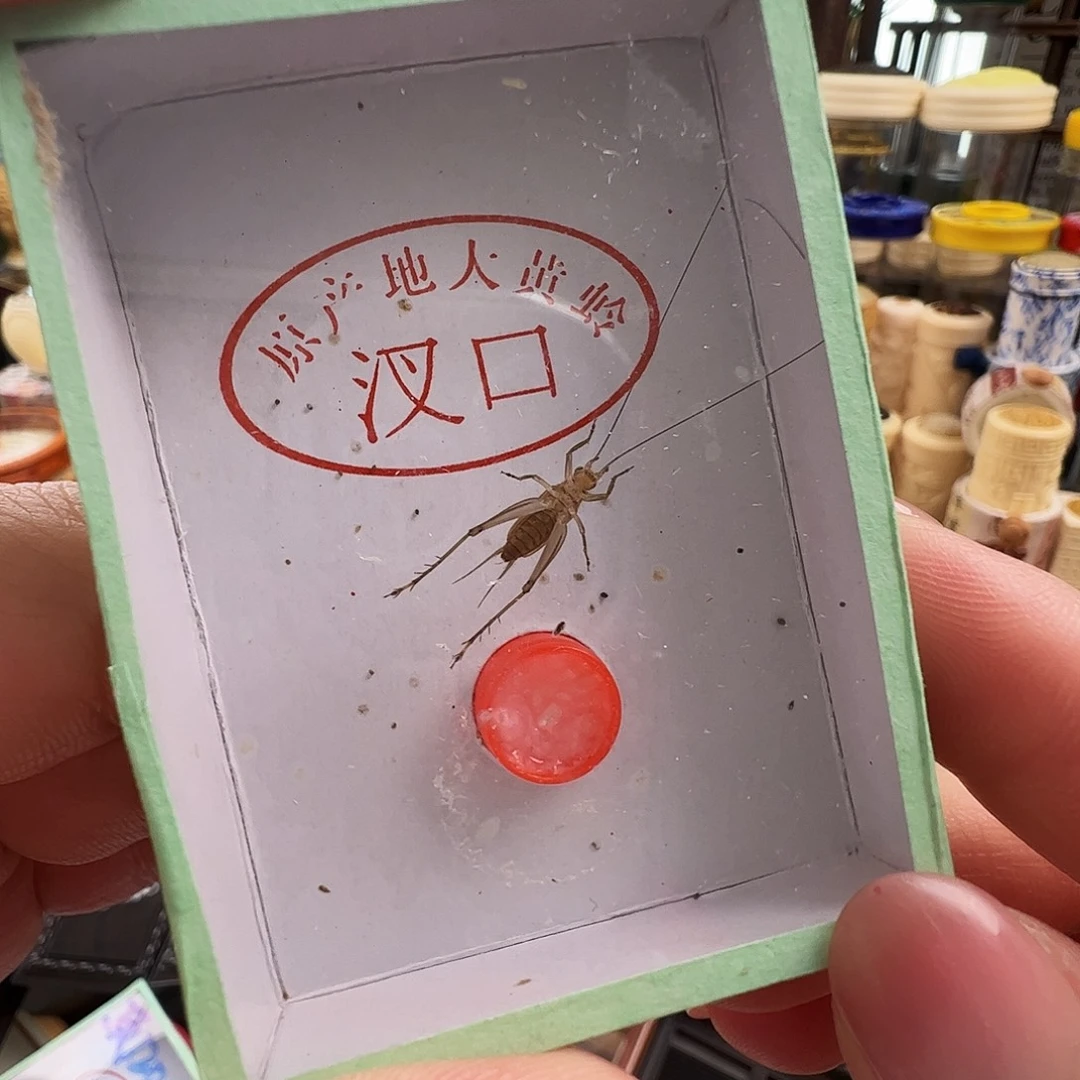 哈哈哈段须大黄蛉一个