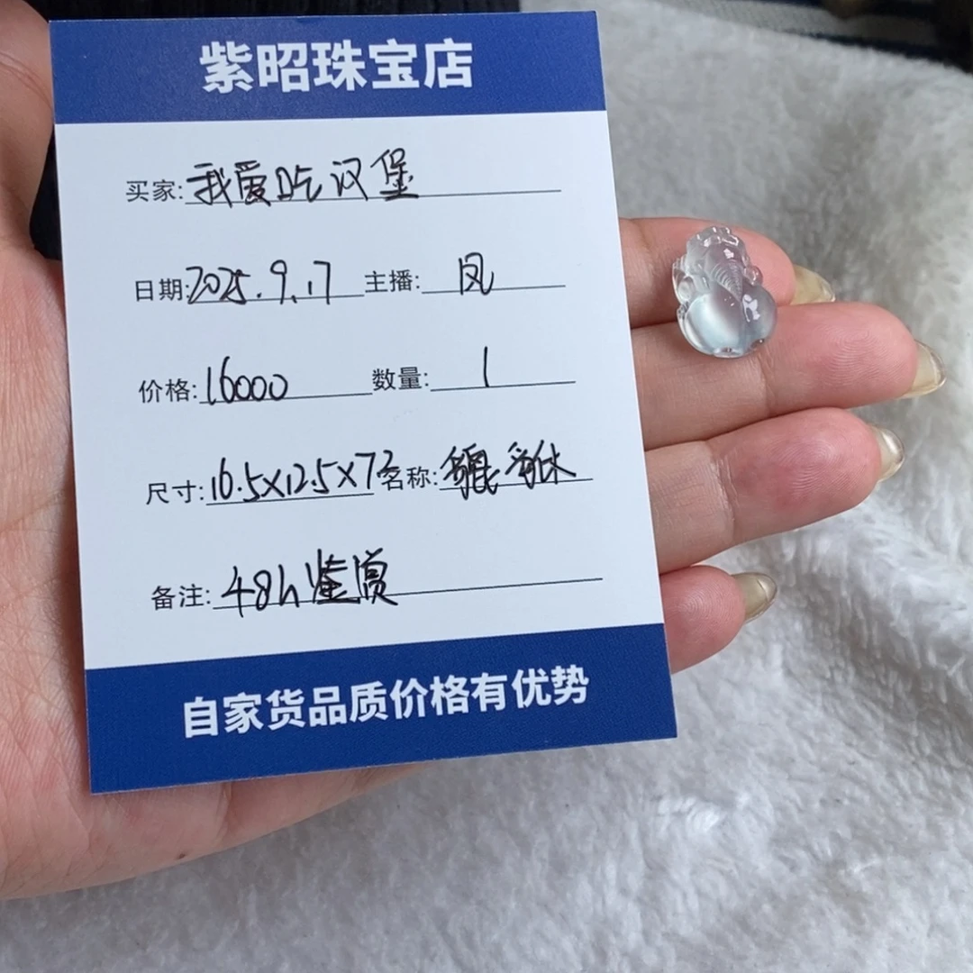 我***堡颈饰未镶嵌翡翠貔貅