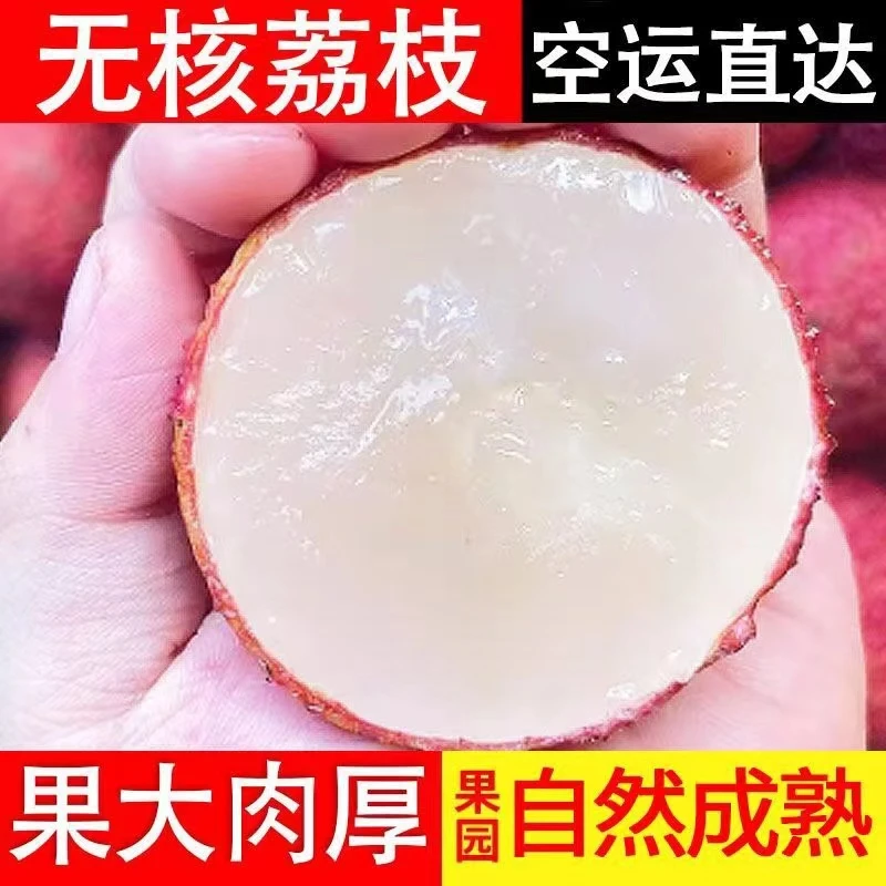 海南无核荔枝新鲜当季水果无籽荔枝现摘现发顺丰空运包邮5月现摘