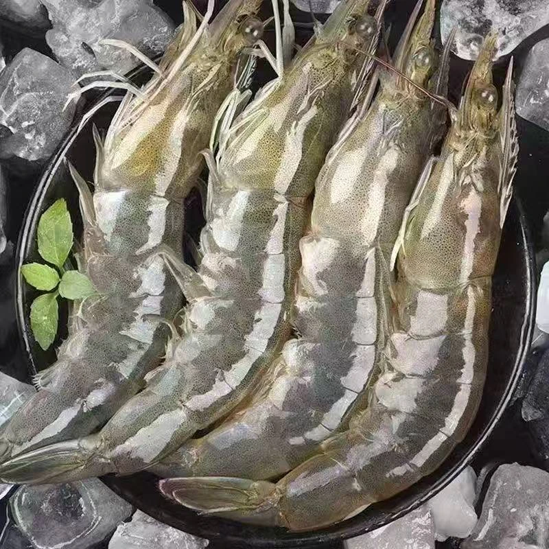 【海洋大虾】海水大虾单只15cm左右 2000g/盒含薄碎冰锁鲜 共50~60只海虾11/15【张莹】【净含量1100g】