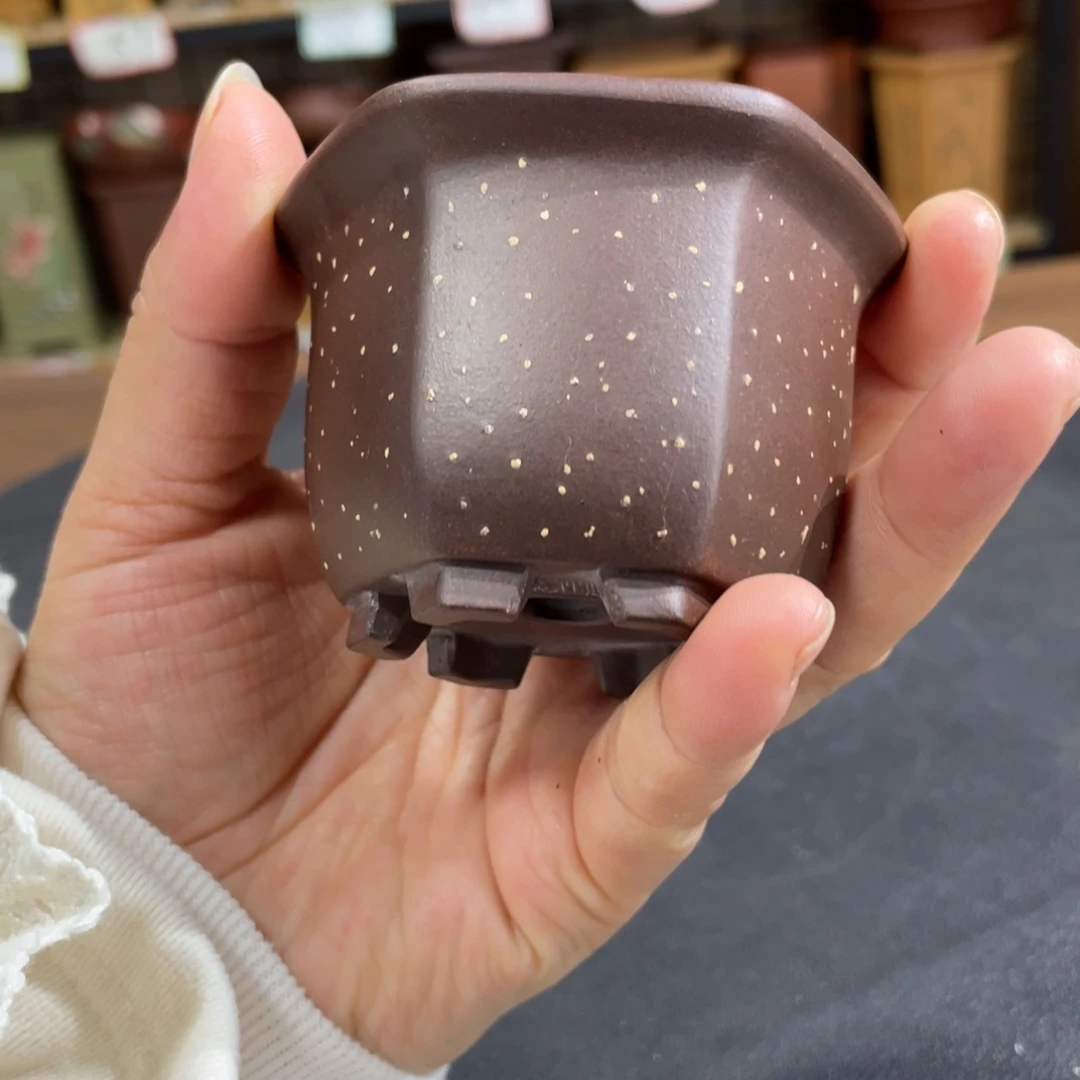 紫砂花盆紫砂花盆在这里