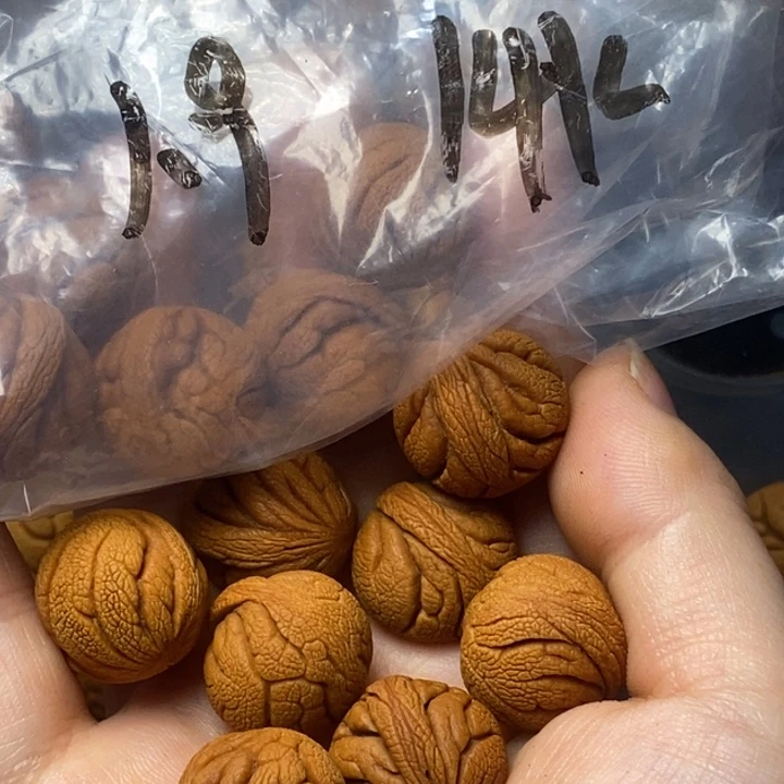 文玩核桃吊坠秦岭山野生桃核