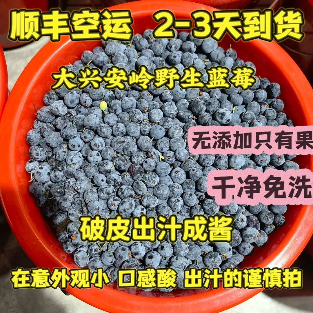 冻果 野生蓝莓3斤10斤都柿 顺丰空运大兴安岭没有添加原味果