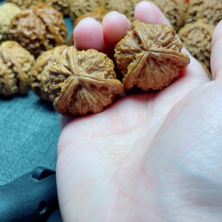 鲸****手工三棱白狮子三棱