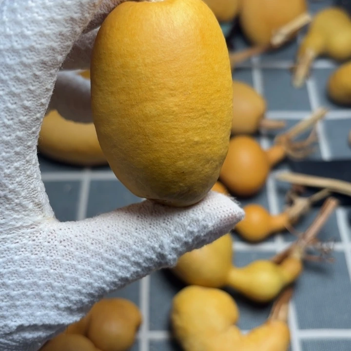 ****！666666666666666666