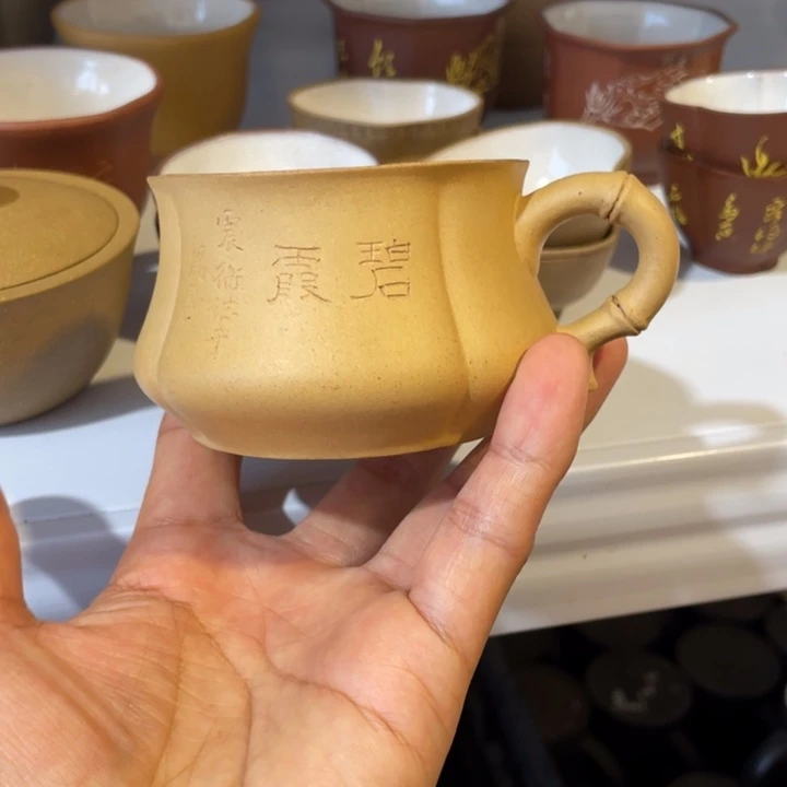 壶***客茶壶紫砂这么着我