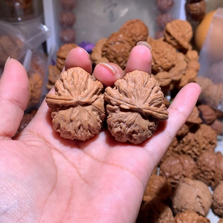 核桃手串/手链白狮子半壁