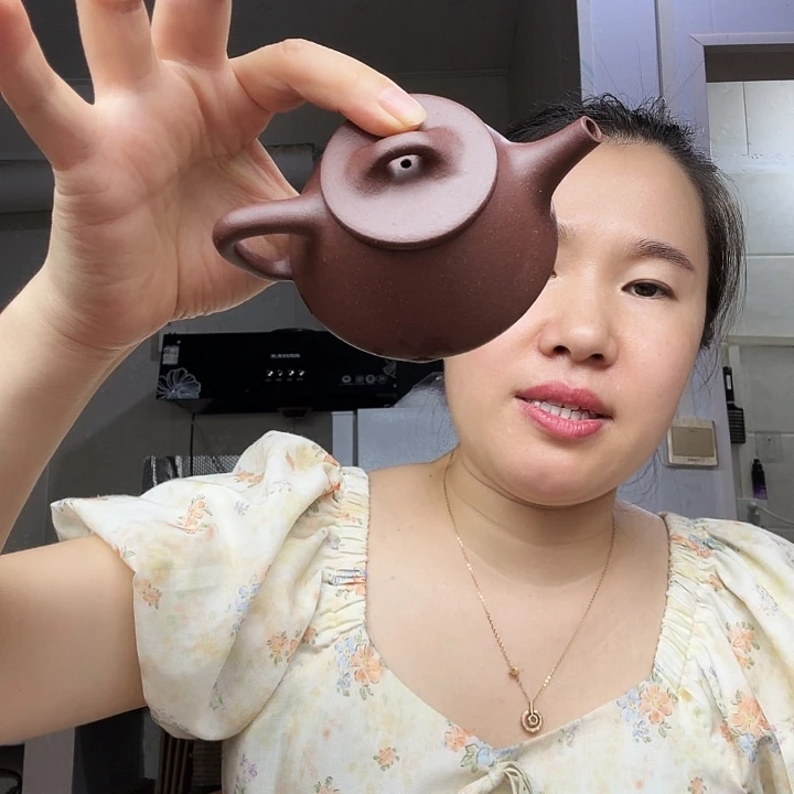 茶壶紫砂原矿半手工紫泥平盖石瓢120cc