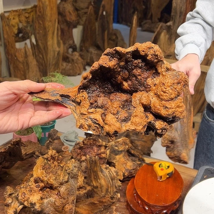 松木（琥珀木）村***件