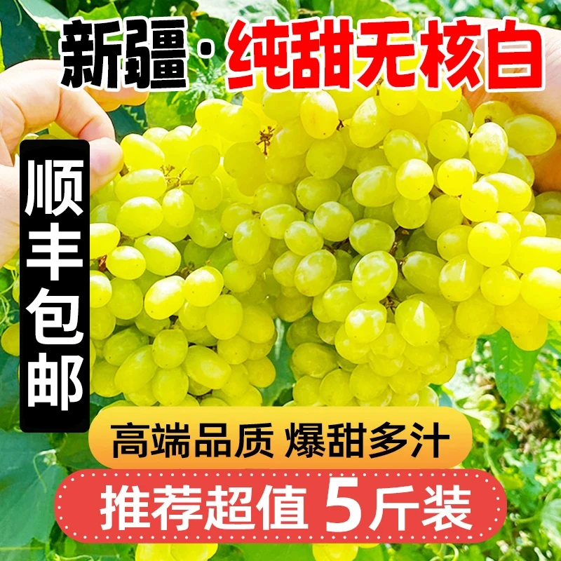 同城果鲜A【顺丰包邮】正宗新疆吐鲁番无核白葡萄无籽新鲜水果青提