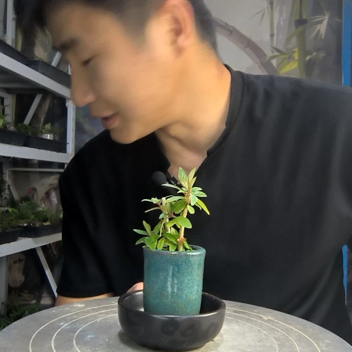 t*ᐝ中青园艺一物一拍264