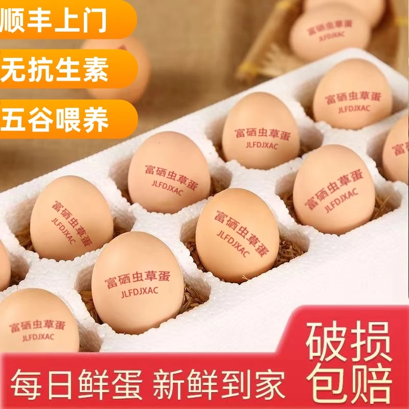 【送货上门】散养富硒大个虫草蛋草鸡蛋笨鸡蛋破损包赔现捡现发