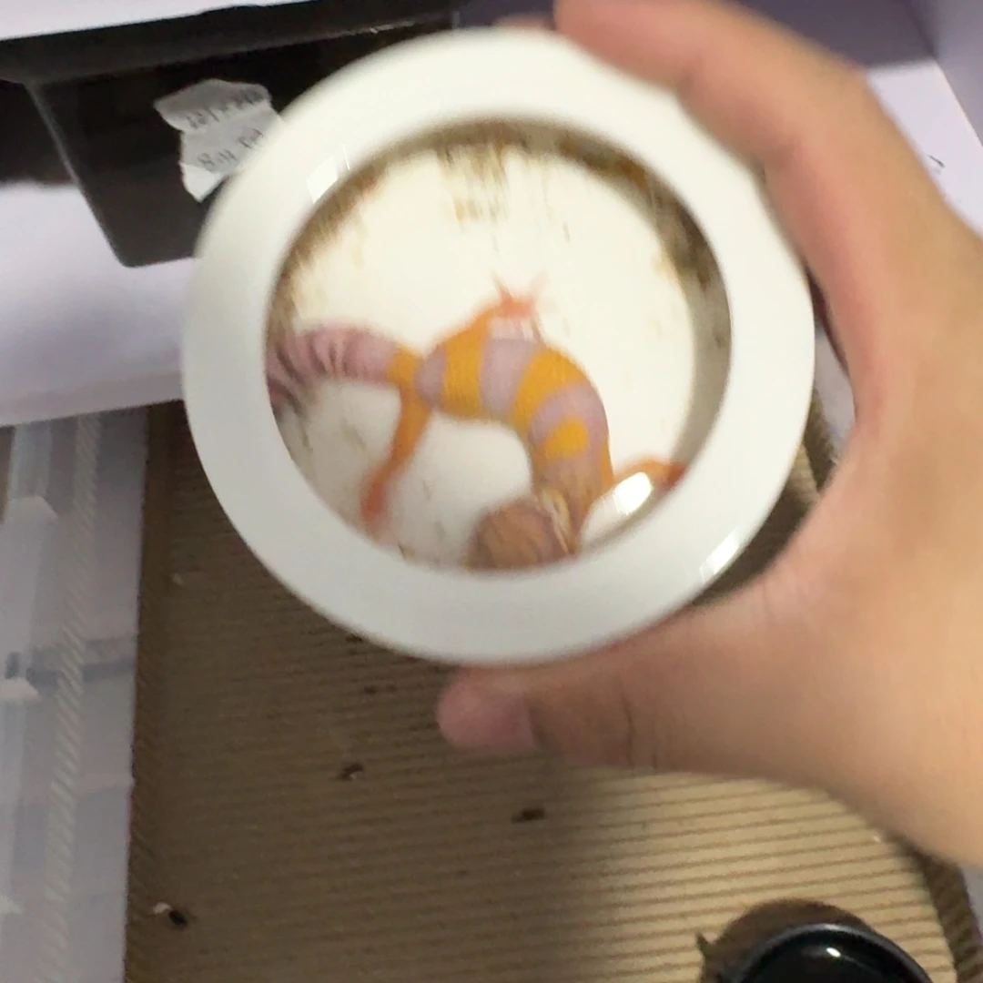 豹纹守宫纹路系贝尔 母温8月
