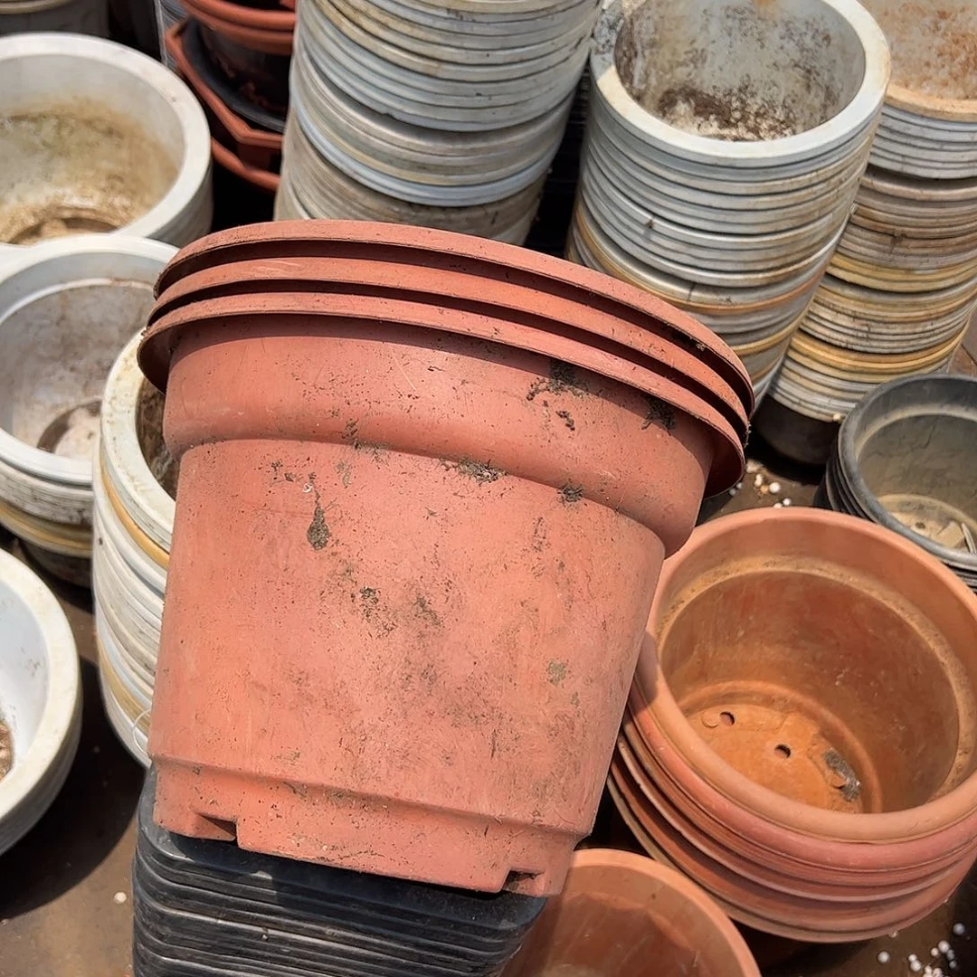 一***安红圆盆31口径24高 3个