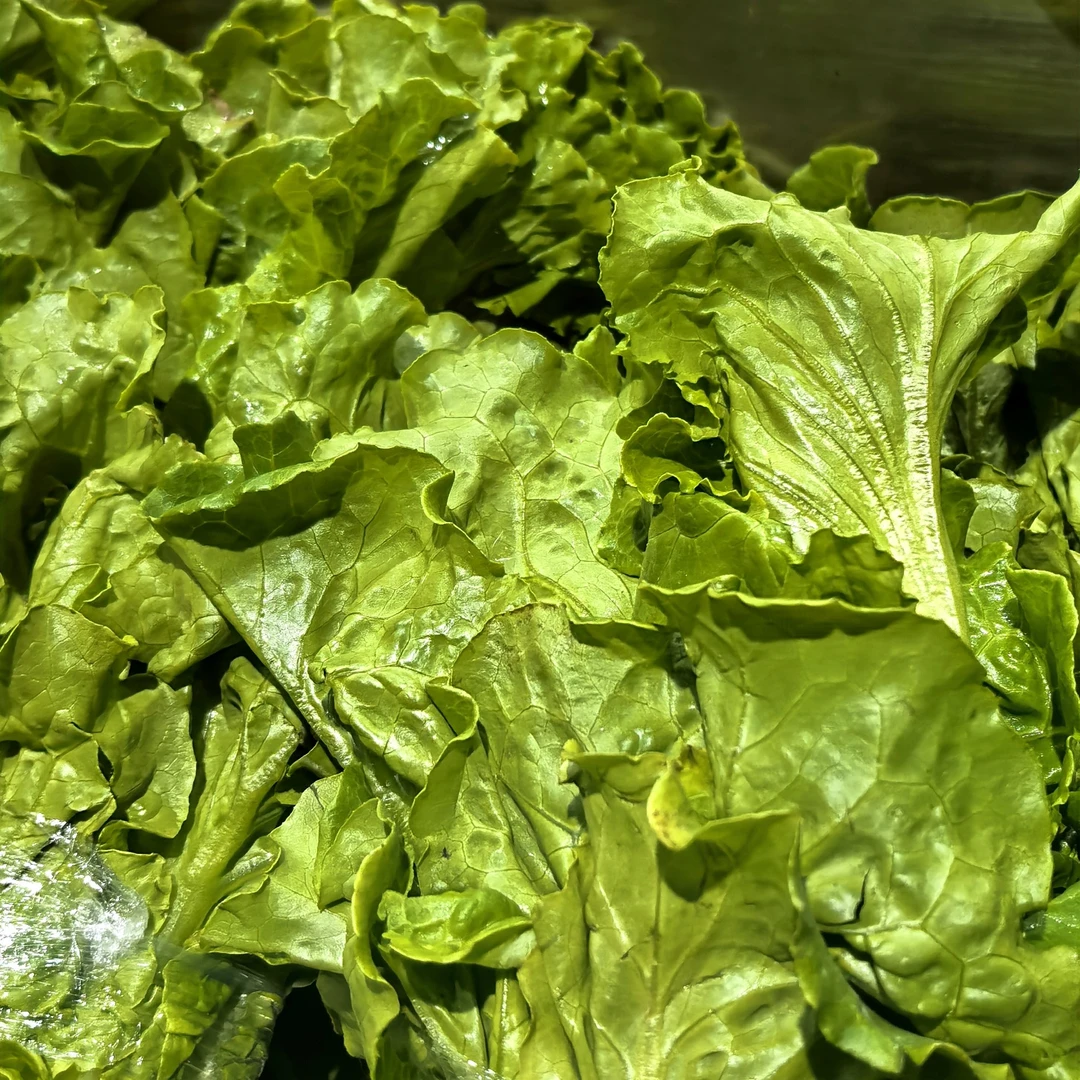 生菜（约450-500g）(新鲜蔬菜)