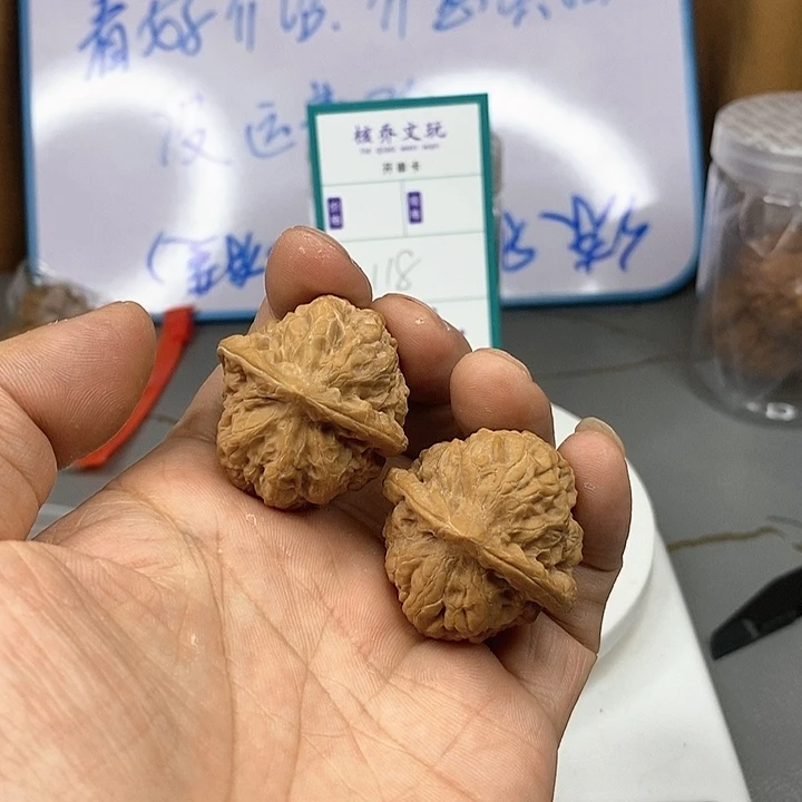 文玩核桃把件金蟾元宝野生