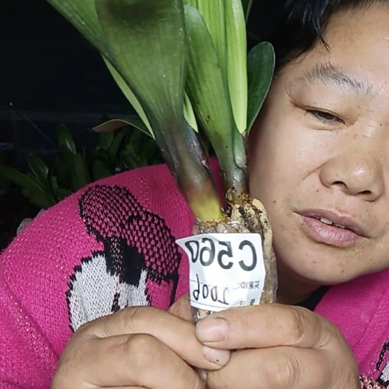 聪***聪完全开放0000000000