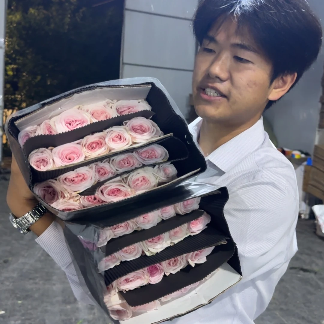 粉荔枝2扎包邮价秒啊