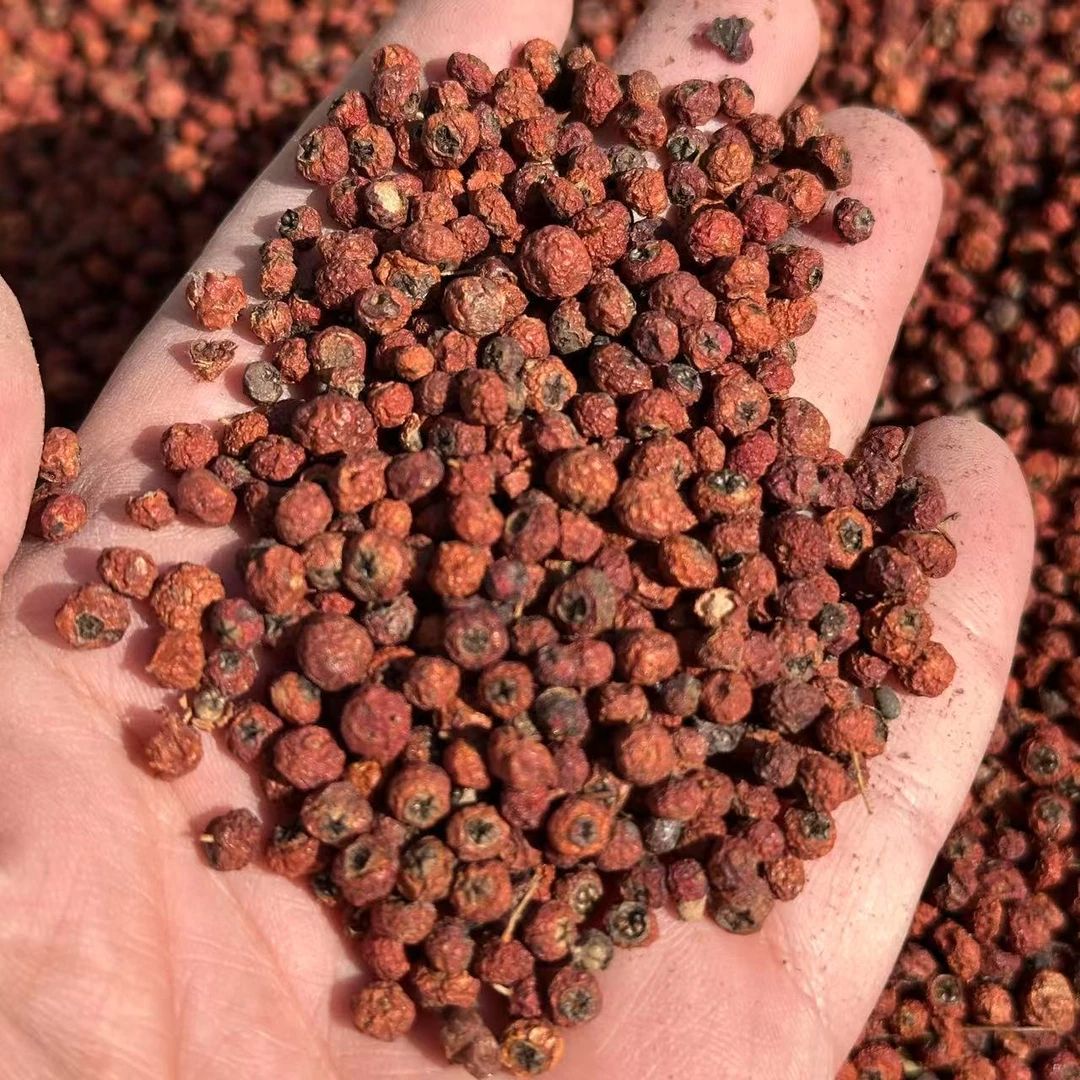 中缅山货  现收农产品 紫杉果 可搭配枸杞煲汤泡水