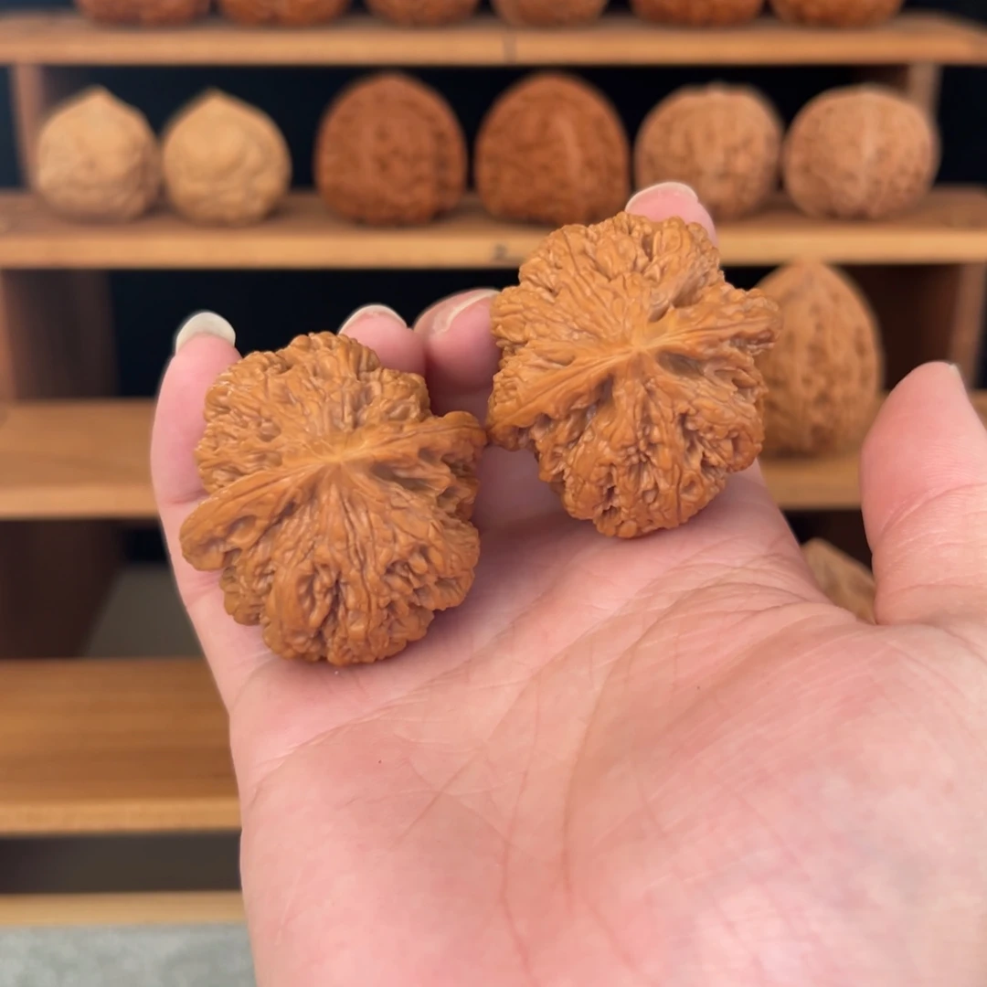 把件核桃43大粗筋（ 微修）