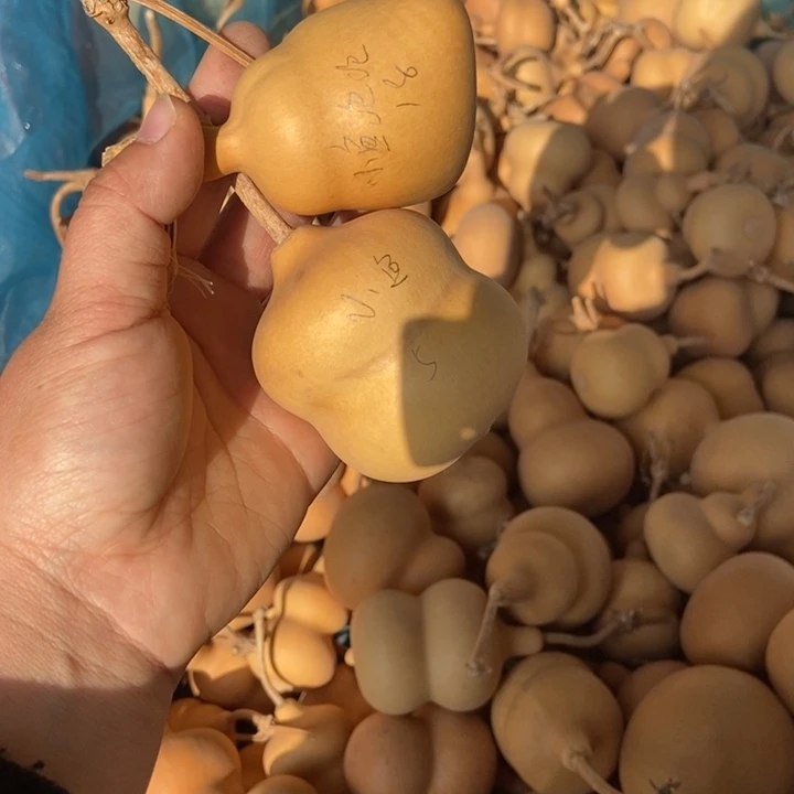 小***ᐝ小鱼泡泡恭喜发财