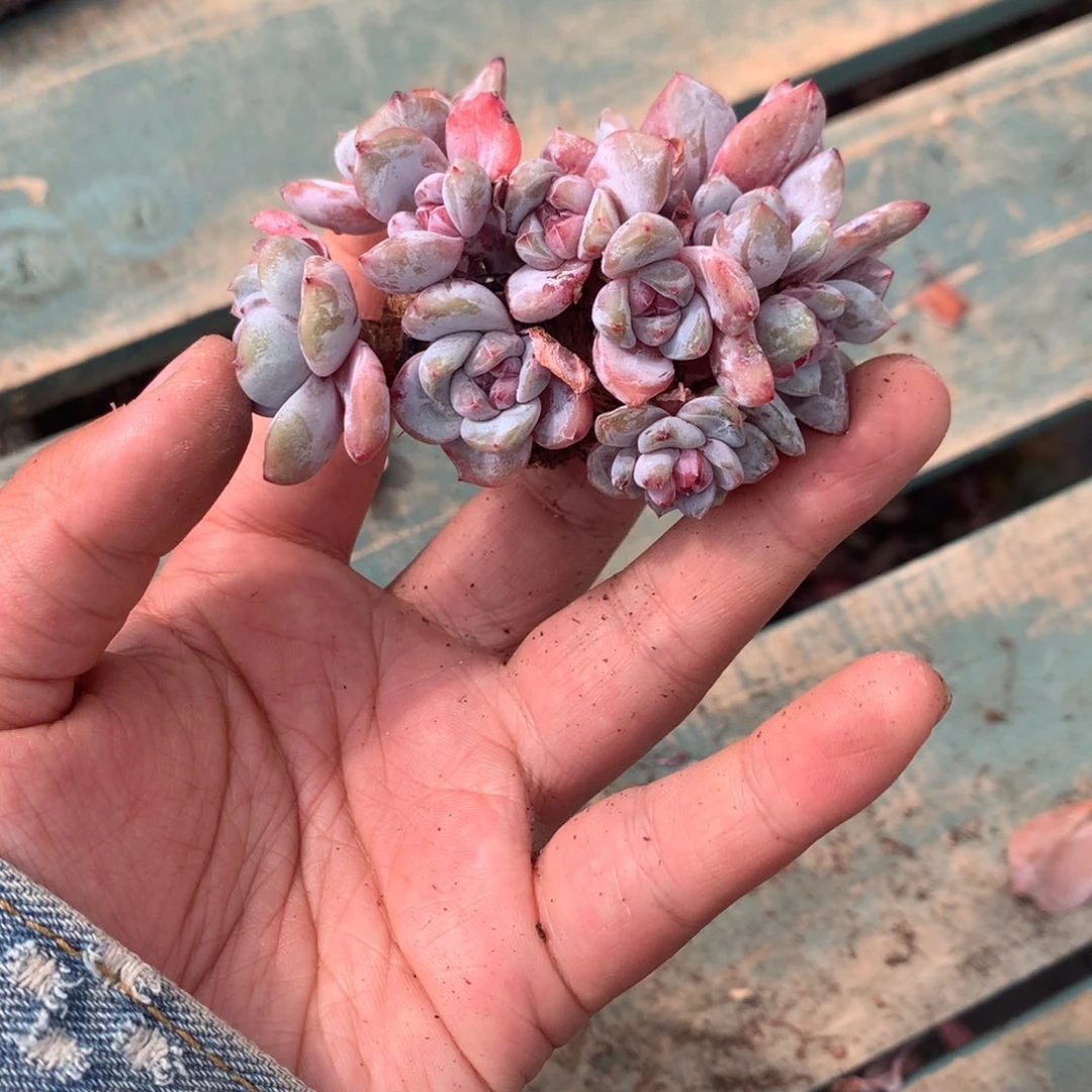 哈哈哈哈哈哈哈哈哈19