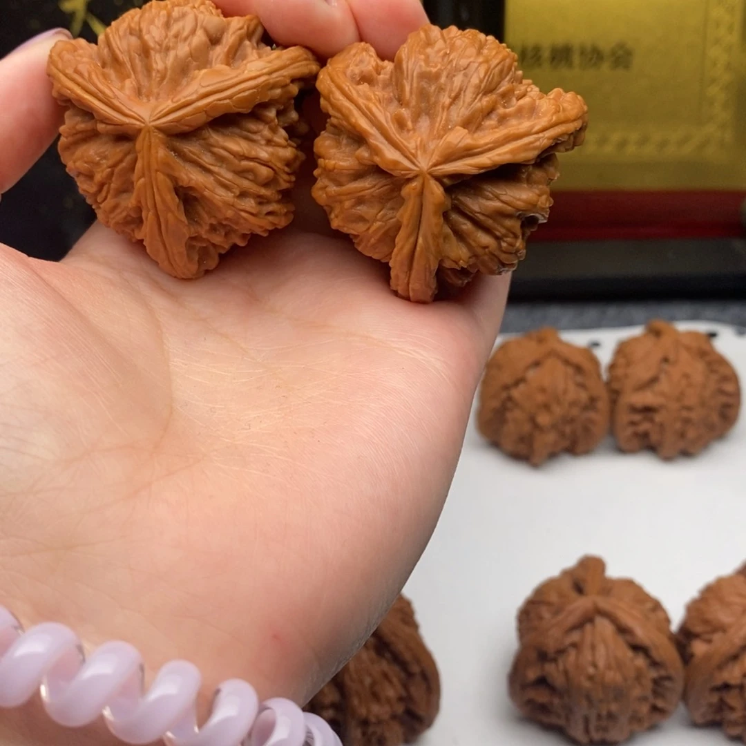 练****的白狮子11111111111