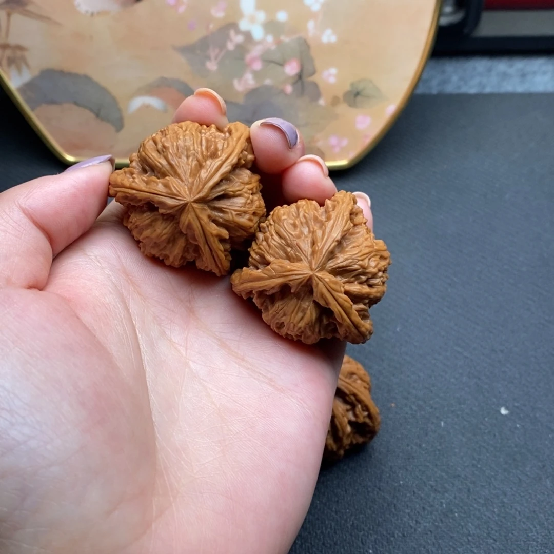 大*白狮子凄凄切切去