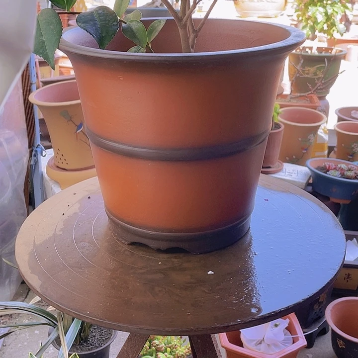 紫砂宜兴紫砂仿古种树31