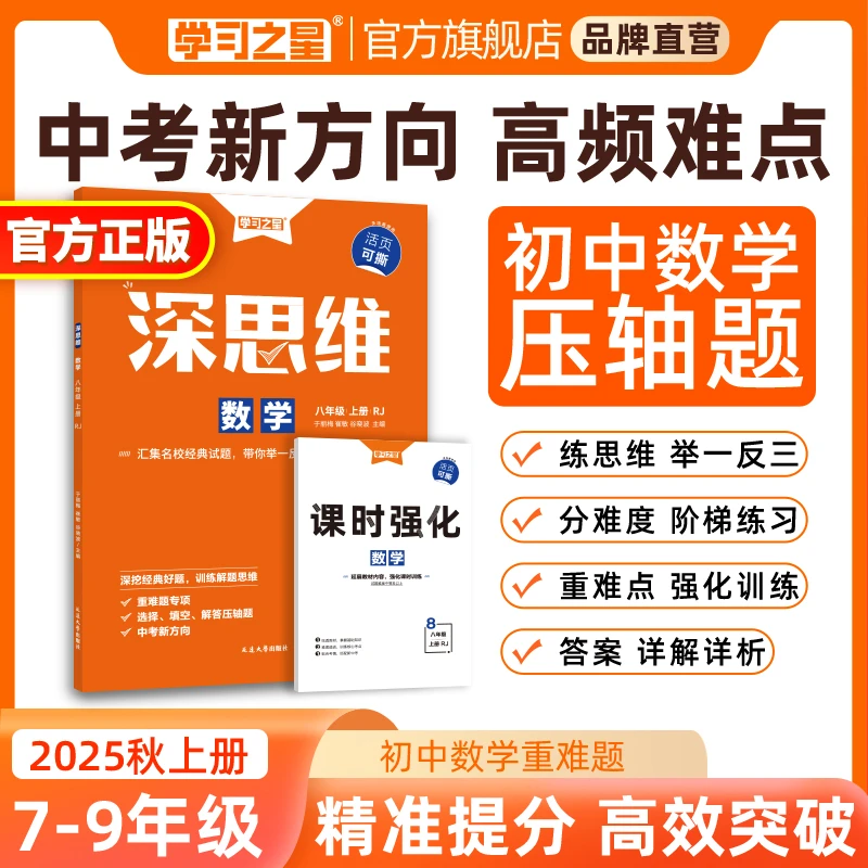 【初中数学压轴题】学习之星深思维学霸重难题解题提分思维练习册