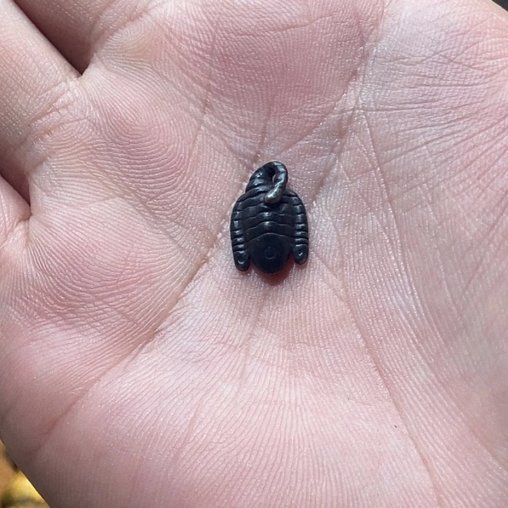 好看啊啊啊啊啊啊啊啊啊啊