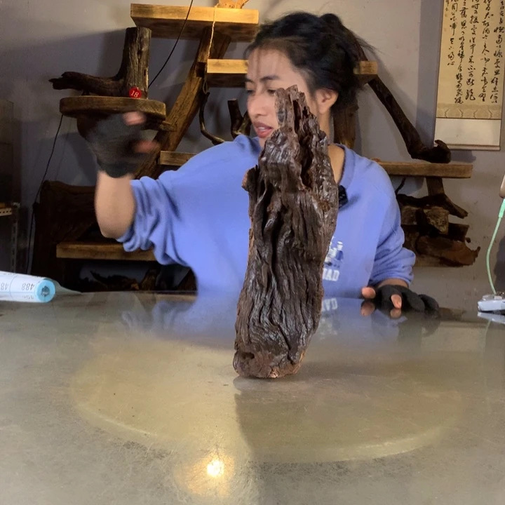 可***无天然云南紫柚木会黄水